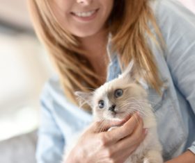 Woman with kitten on lap Stock Photo 04