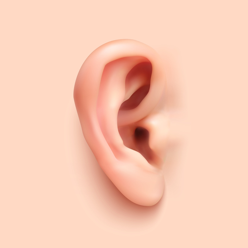 ear background design vector 01