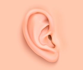 ear background design vector 04