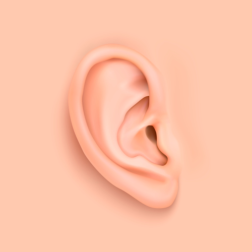 ear background design vector 04