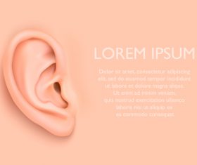 ear background design vector 05