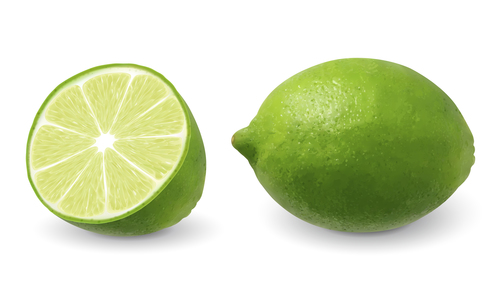 green lemon vector material