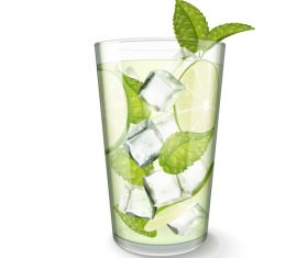 mint with lemon water vector