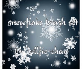snowflake photoshop brushes set
