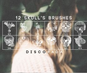 12 Skulls and Anatomy Photoshop Brushes