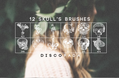 12 Skulls and Anatomy Photoshop Brushes