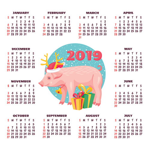 2019 pig year calendar template vector 01