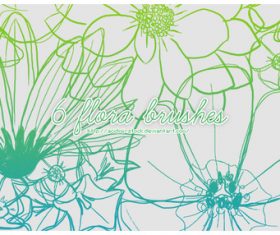 6 Flora Photoshop Brushes