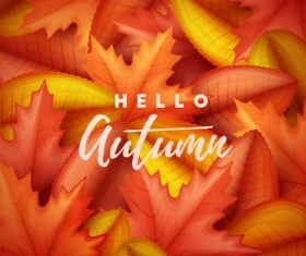 Autumn leaves background vectors material 01