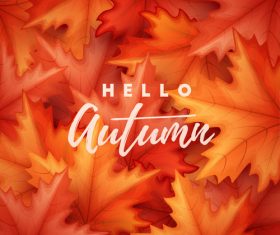 Autumn leaves background vectors material 02