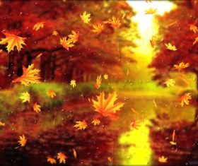 Autumn leaves beautiful scenery Stock Photo