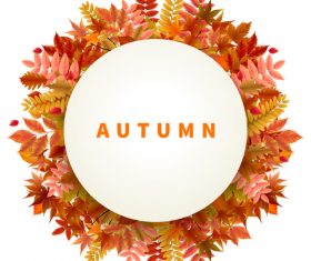 Autumn leaves frame with white background vector