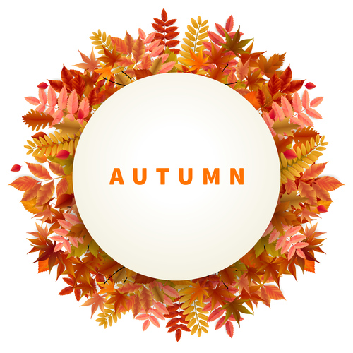 Autumn leaves frame with white background vector