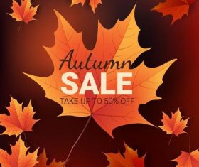 Autumn leaves with autumn sale background vector