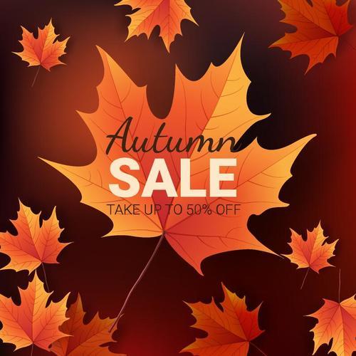 Autumn leaves with autumn sale background vector
