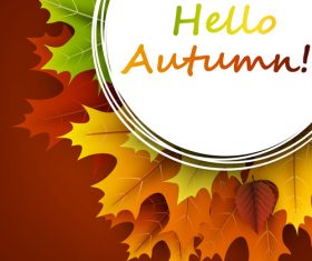 Autumn leaves with cricles background vector 01