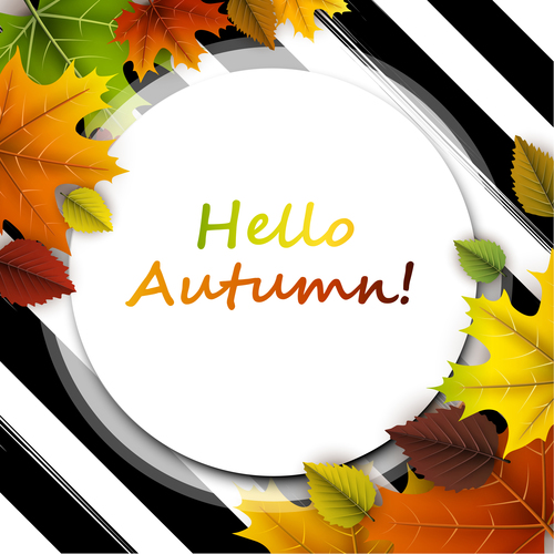 Autumn leaves with cricles background vector 04