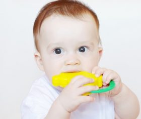 Baby biting a toy Stock Photo 01