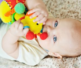 Baby biting a toy Stock Photo 02