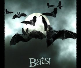 Bats Photoshop Brushes