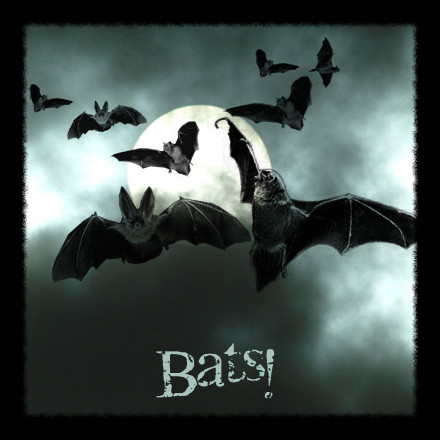 Bats Photoshop Brushes