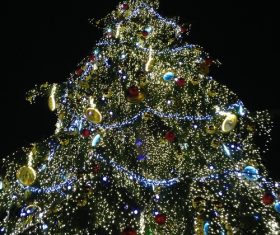 Beautifully decorated Christmas tree Stock Photo 02