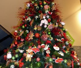 Beautifully decorated Christmas tree Stock Photo 05