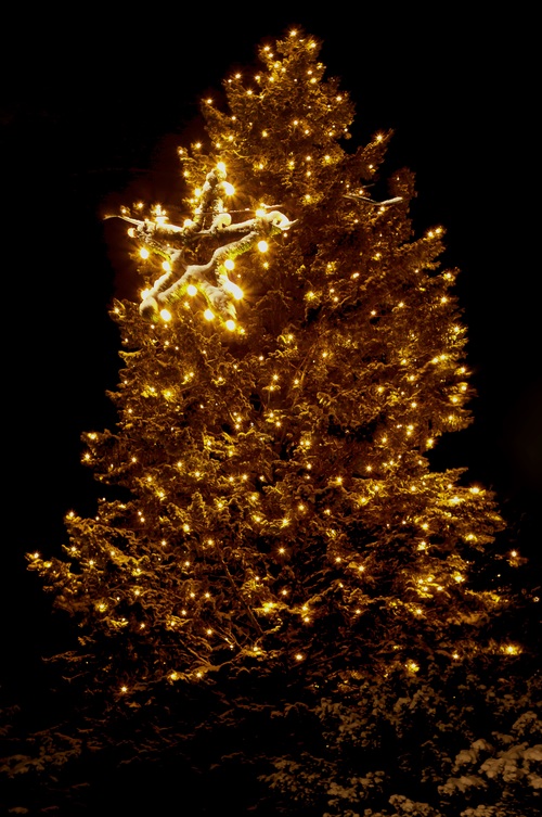 Beautifully decorated Christmas tree Stock Photo 14