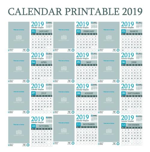 Calendar printable 2019 vector template
