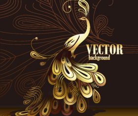 Cartoon peacock illustration vector