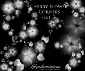 Cherry Flower corners Brushes Photoshop