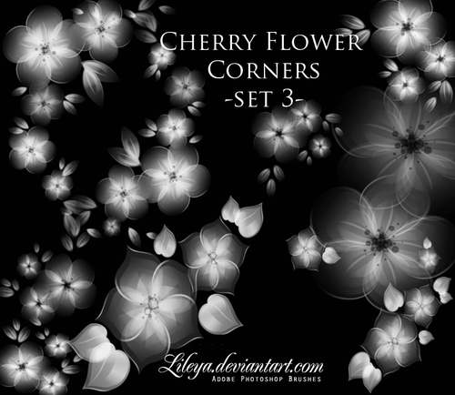 Cherry Flower corners Brushes Photoshop