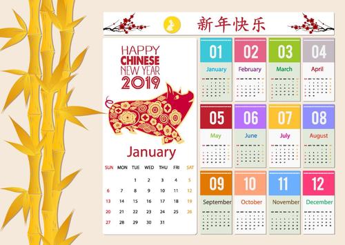 Chinese pig year 2019 calendar template vector