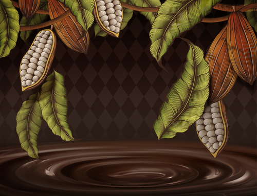 Chocolate with beans background vectors