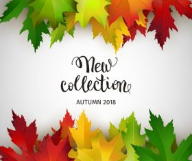 Colored autumn leaves with white background vector