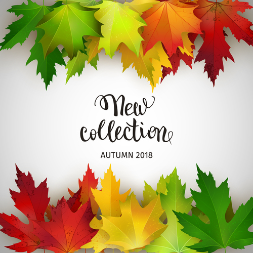 Colored autumn leaves with white background vector