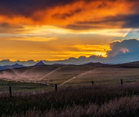 Evening sunset rural fields landscape Stock Photo