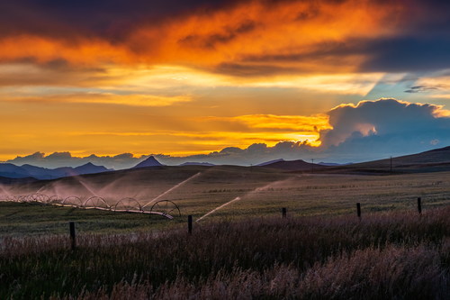 Evening sunset rural fields landscape Stock Photo