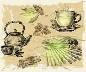 Farm with tea vector