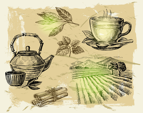 Farm with tea vector