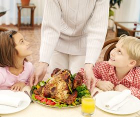 Festive tasty turkey Stock Photo 05