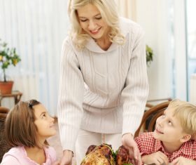 Festive tasty turkey Stock Photo 07
