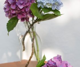 Flower arrangement in the room Stock Photo 03