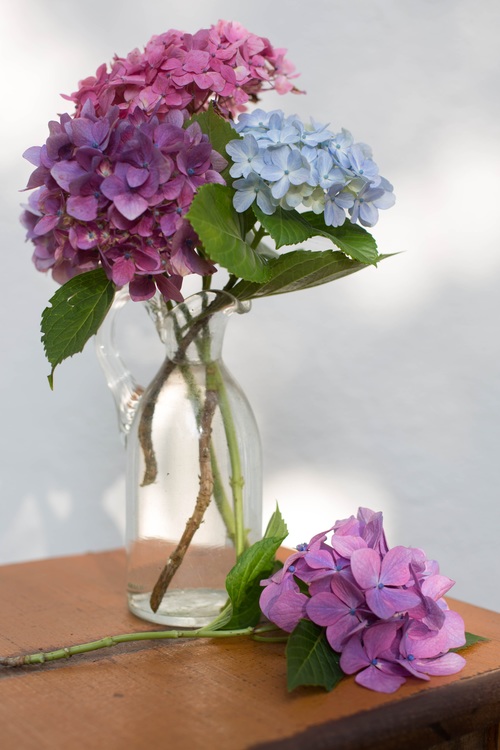 Flower arrangement in the room Stock Photo 03