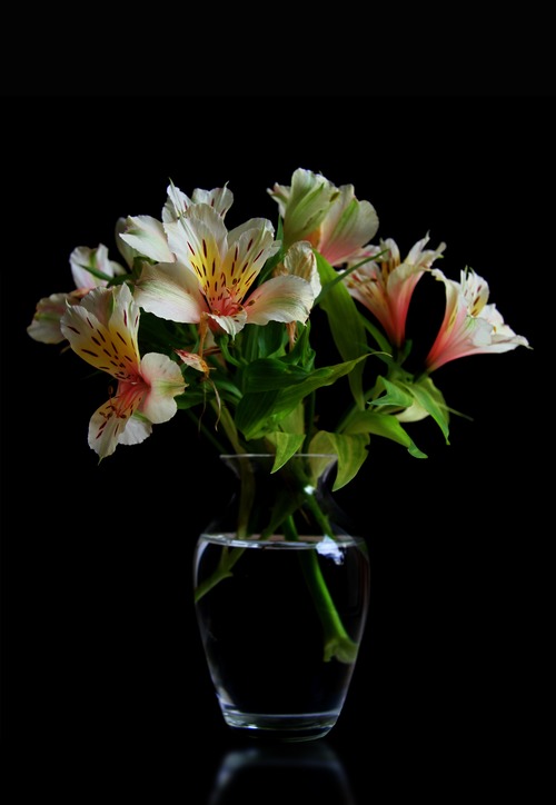 Flower arrangement in the room Stock Photo 11