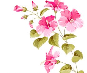 Flower hibiscus illustration vectors 02