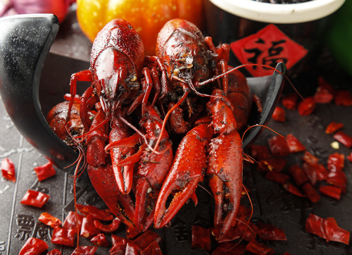 Fresh and delicious crayfish Stock Photo 02