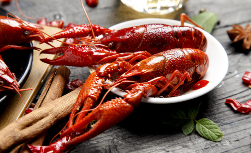 Fresh and delicious crayfish Stock Photo 03