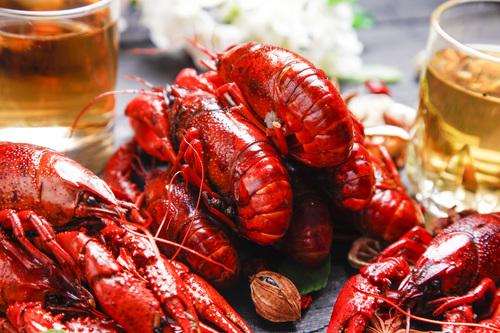 Fresh and delicious crayfish Stock Photo 04