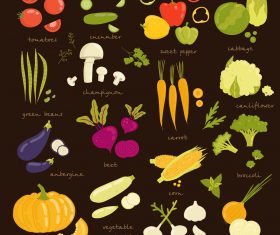 Fresh vegetables vector background illustration 04